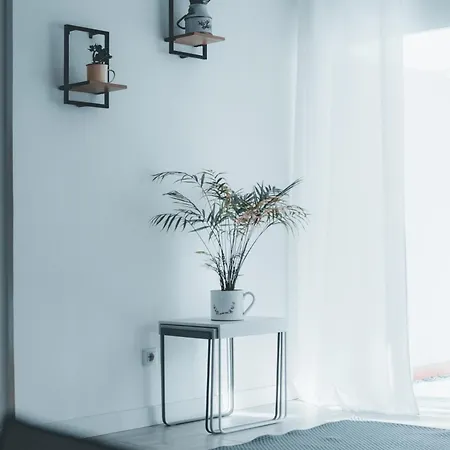 Casa Baifo Коральео